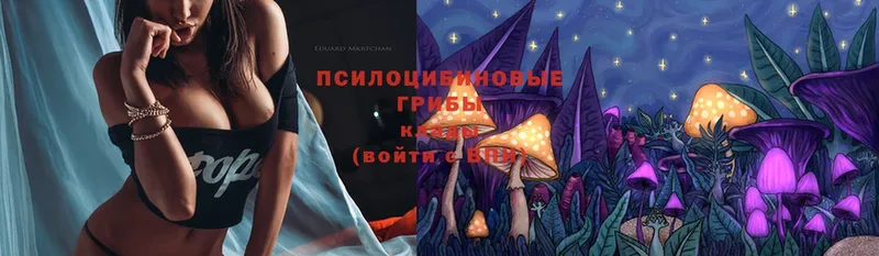 закладка  Батайск  Галлюциногенные грибы Magic Shrooms 